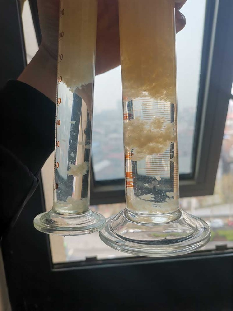 现场照片
